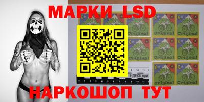 шишки Гатчина