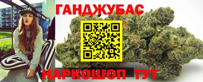 шишки Гатчина