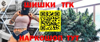spice Гай