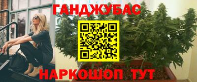 шишки Гатчина