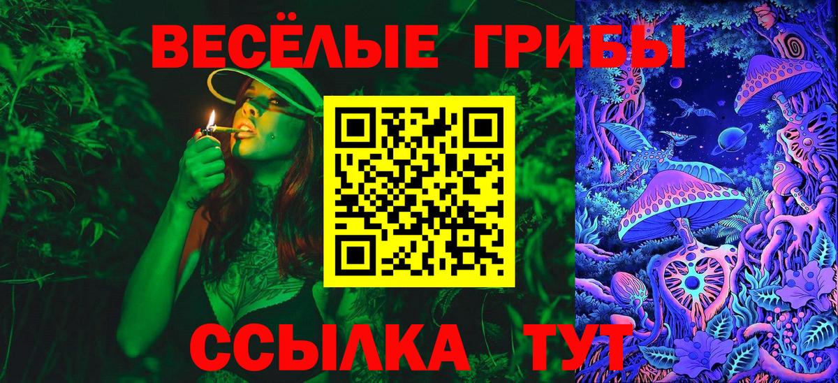 Псилоцибиновые грибы GOLDEN TEACHER Моздок
