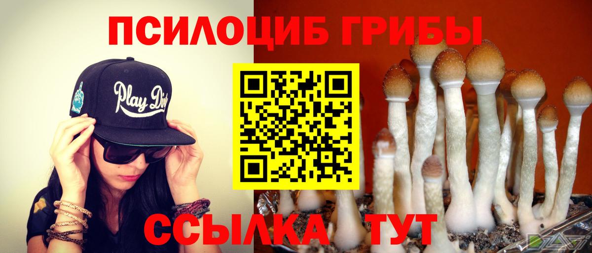 Моздок  Галлюциногенные грибы ЛСД  Псилоцибиновые грибы Magic Shrooms  Вход с VPN 