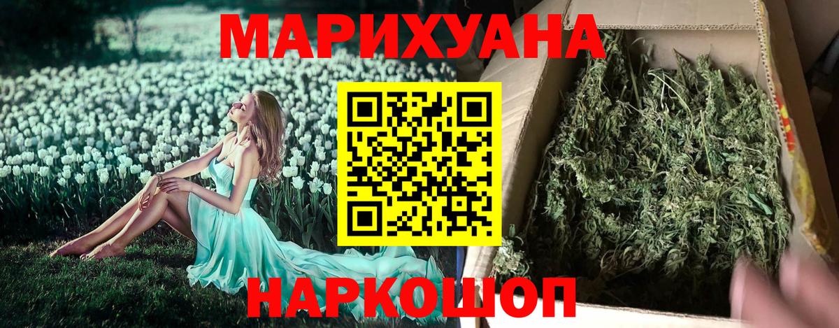 Бошки марихуана планчик  Вход с VPN  Моздок  Марихуана ГИДРОПОН 